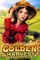 slot_202005261448555555-1.png