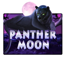 slot_202005262325222222-1.png