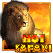 vs25safari.png